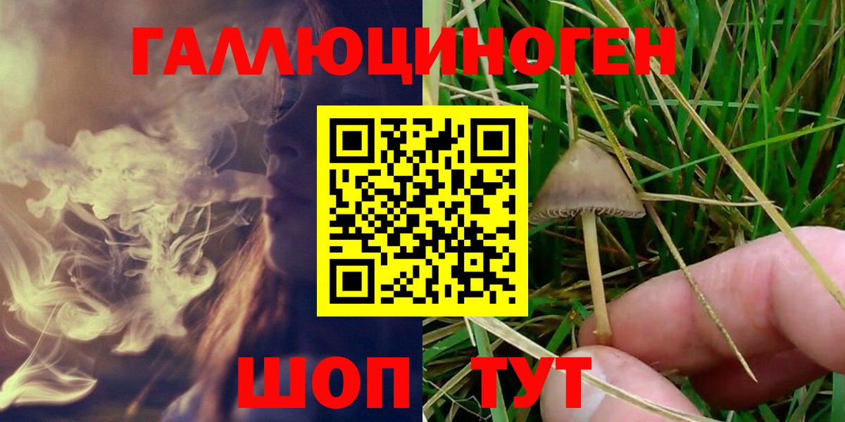 Галлюциногенные грибы Magic Shrooms Мценск