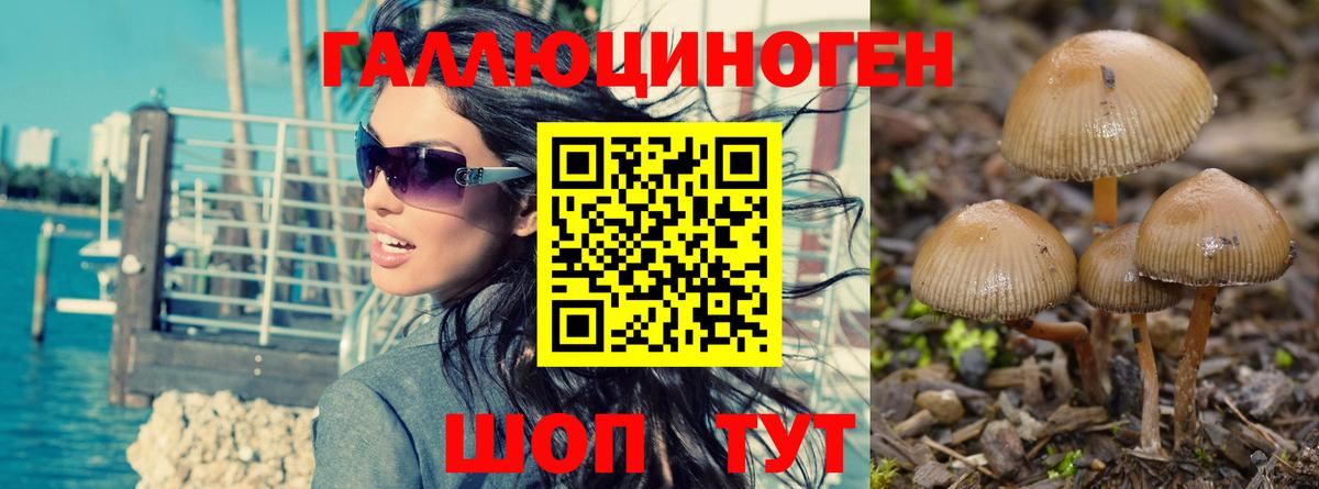 Псилоцибиновые грибы Psilocybine cubensis  Вход с VPN  Мценск 